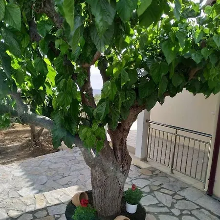 Elia * Sfakia